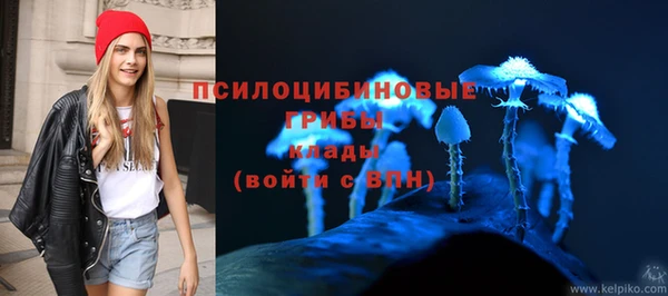соль ск Алзамай