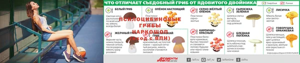 герыч Алексеевка